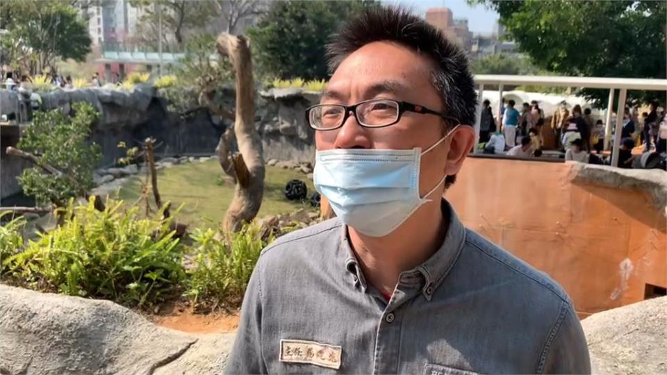 「上班時間」猛滑手機！竹市動物園馬來猴當低頭族超萌