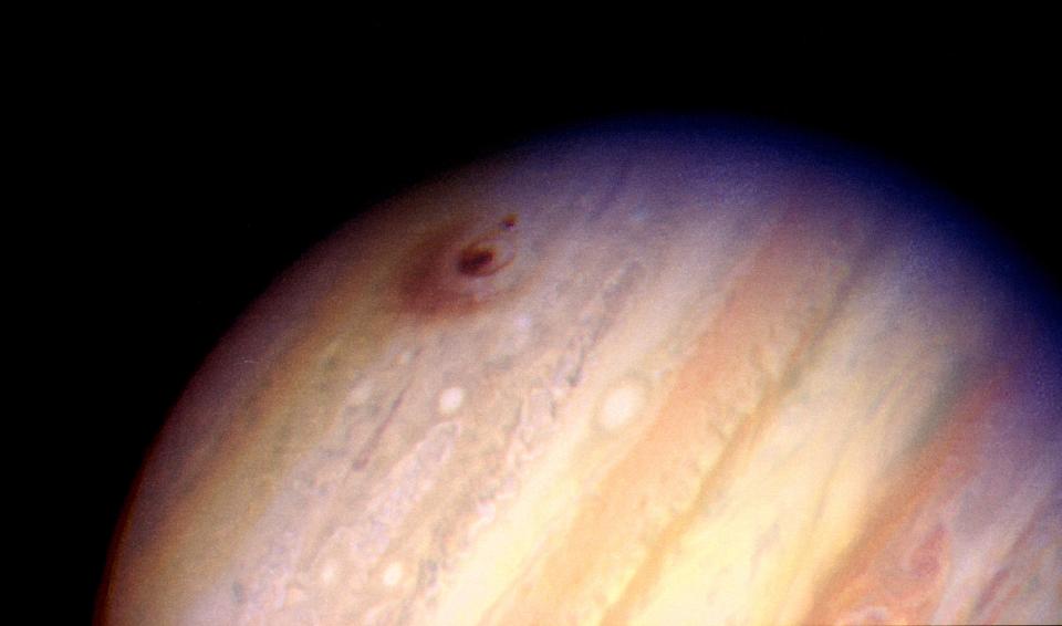 This image of the giant planet Jupiter, by NASA's Hubble Space Telescope, reveals the impact sites of fragments "D" and "G" from Comet Shoemaker-Levy 9.
The large feature was created by the impact of fragment "G" on July 18, 1994 at 3:28 a.m. EDT. The picture is a combination of separate images taken thorugh several color filters to create this "true color" rendition of Jupiter's multi- colored clouds.