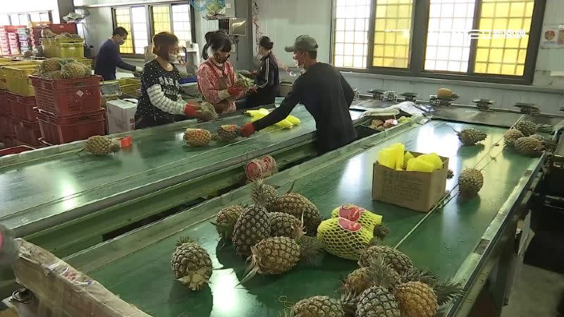 台灣鳳梨布局長遠國外市場並做好國內產銷。