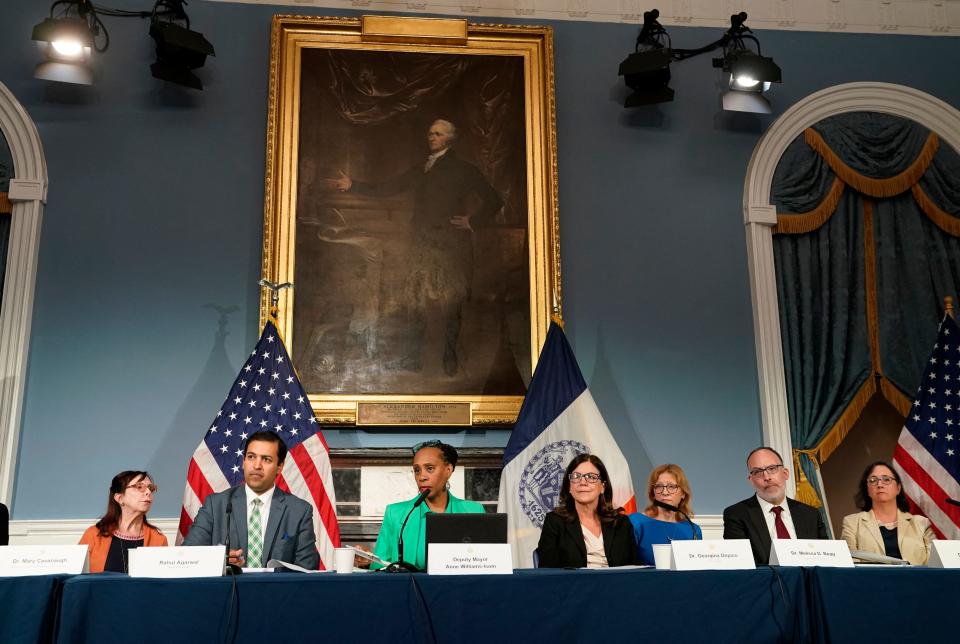 A panel of city officials, with Deputy Mayor Anne Williams-Isom third from left.