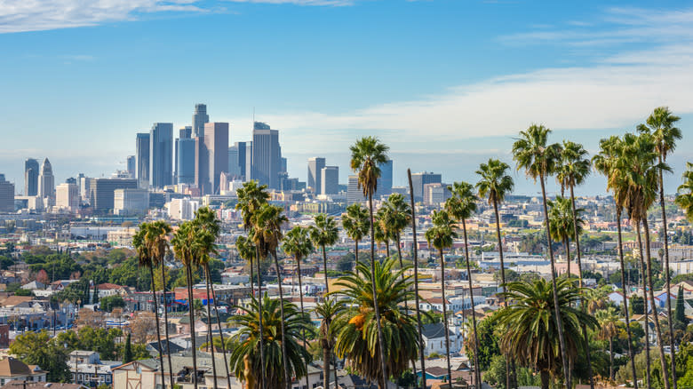 LA skyline view