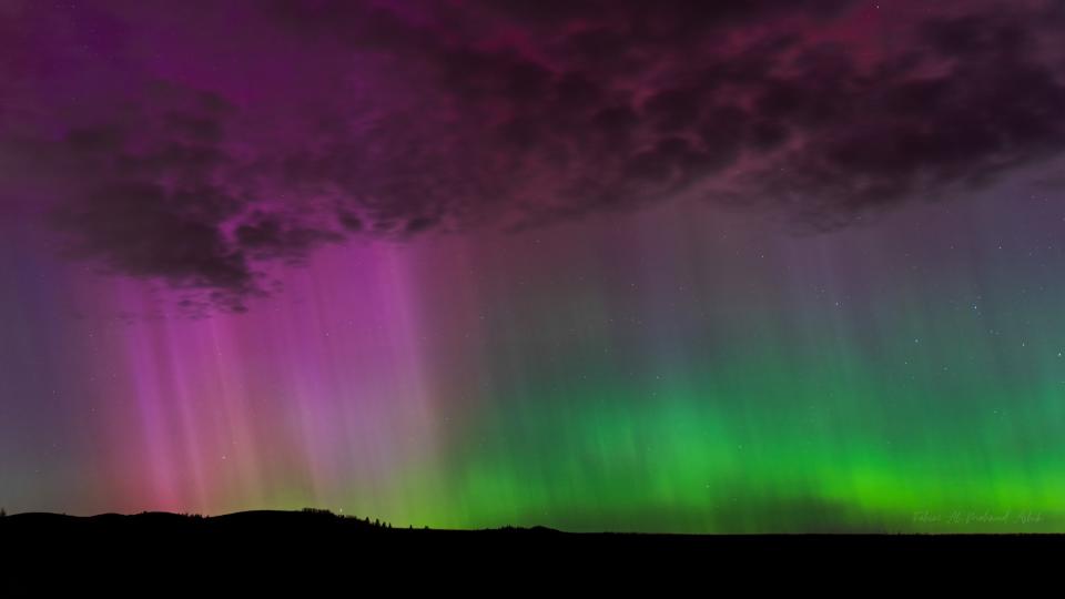  Ribbons of light shine down from clouds almost like a curtain of light colored pink purple and green. 