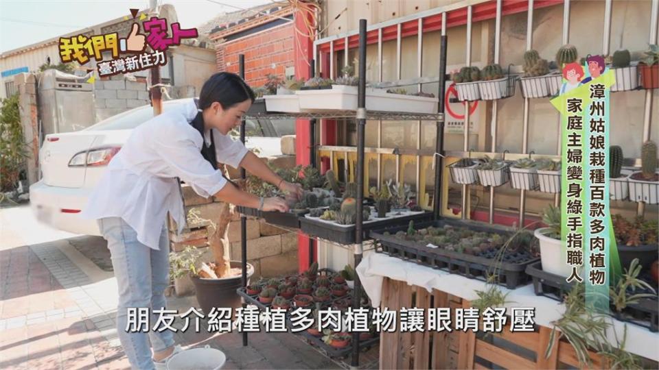 栽種百款多肉植物　家庭主婦成綠手指職人