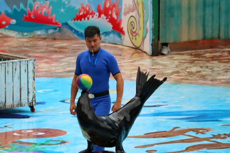 深圳野生動物園門票優惠41折！港澳居民限定每位$99玩齊3大園區、盡覽近萬隻野生動物＋動物表演