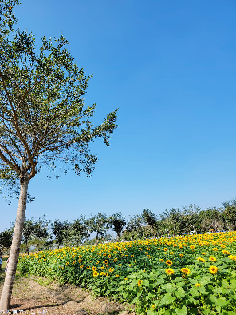 屏東｜新埤鄉綜合休閒公園