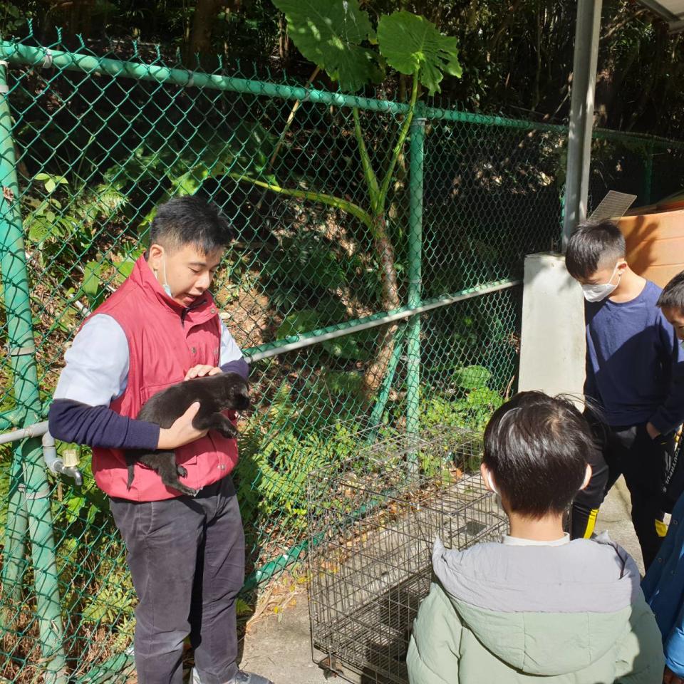 獸醫師也教導小朋走如何互動及安全的抱狗貓。   圖：新北市動保處提供