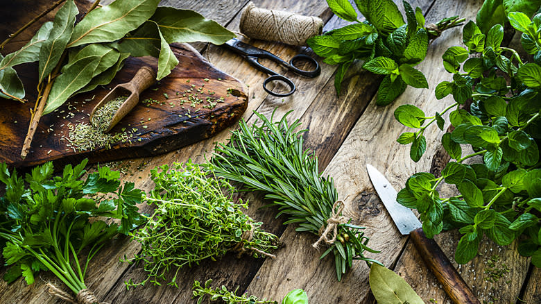 various bunches of herbs