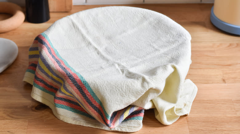 pizza dough rising on counter