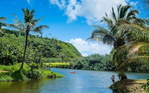 Wailua River on the Island of Kauai - Credit: Alamy