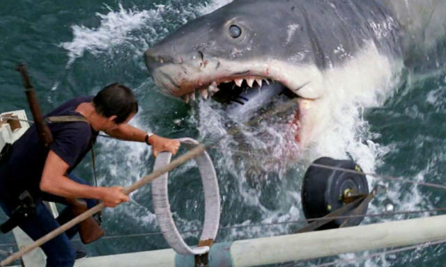 Audiences have loved shark movies ever since Jaws hit screens in 1975.