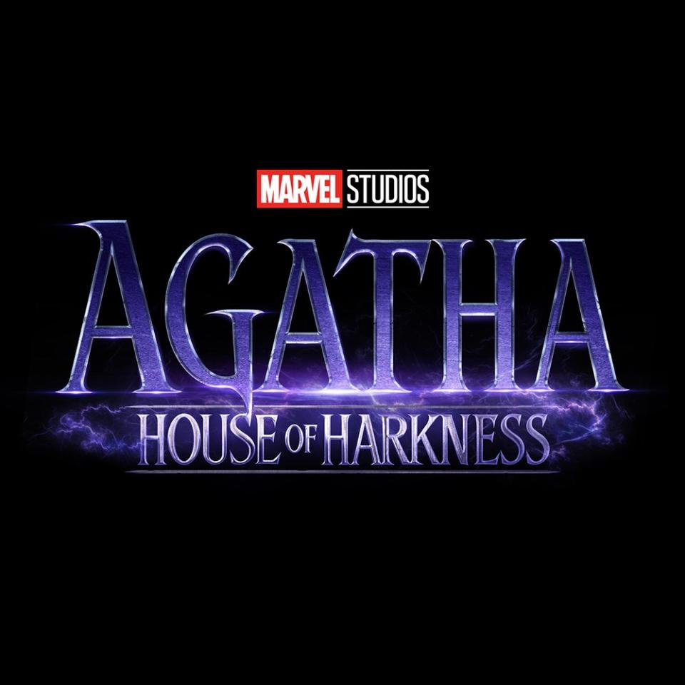 Kathryin Hahn will reprise her breakout WandaVision role in Agatha: House of Harkness (Photo: Disney+/Twitter)