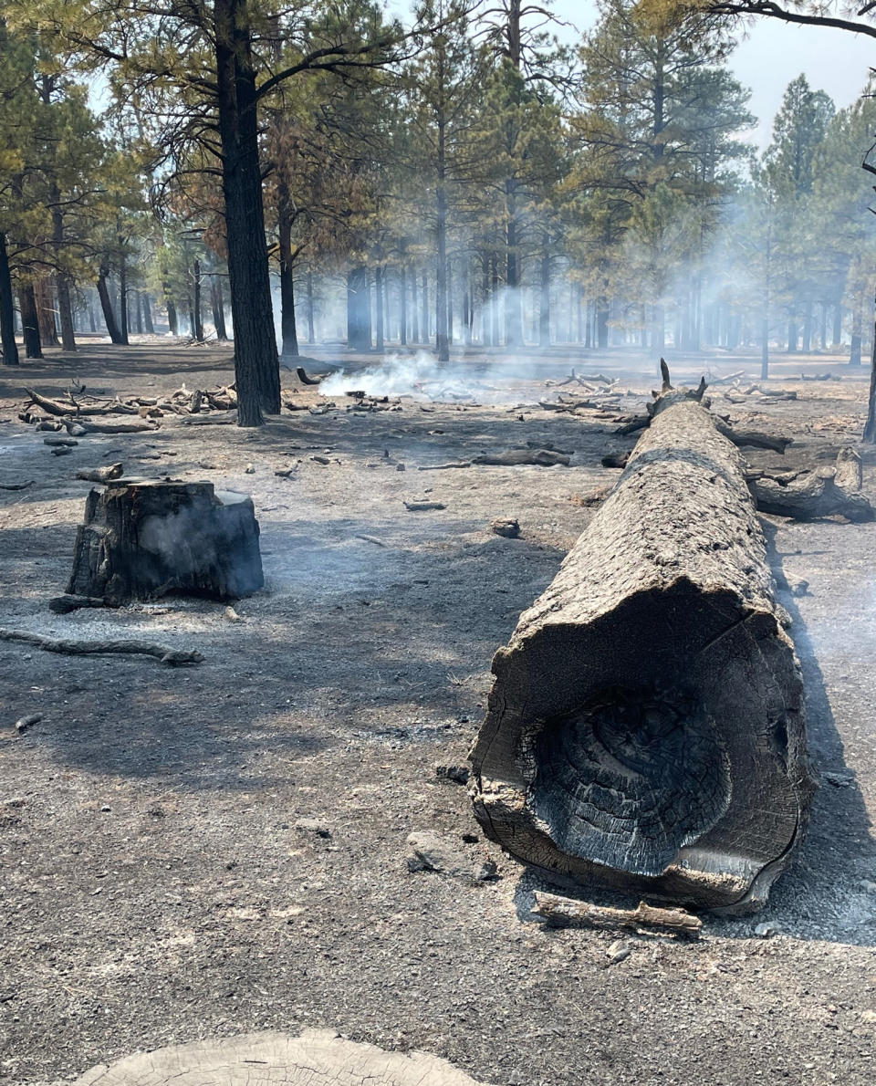 In this photo provided by the National Park Service, fallen trees smolder after a wildfire at the Sunset Crater Volcano National Monument in Arizona, Wednesday, April 20, 2022. Winds are expected to intensify through the end of the week as firefighters battle blazes across the Southwest. Resources are tight, and fire managers are scrambling to get crews on board. (Richard Ullman/National Park Service via AP)