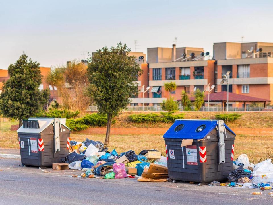 The city’s litter problem has influenced the population rise of gulls (Shutterstock)