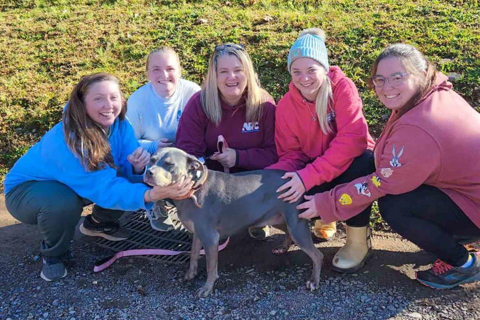 <p>Animal Resource Center</p> Ella the dog with staffers from the Animal Resource Center in Pennsylvania