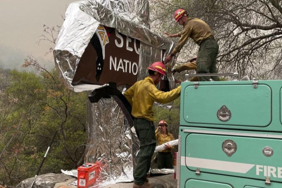 California firefighters wrap historic Sequoia National Park entrance sign with fire-proof blankets to protect them from huge blazes (NATIONAL PARK SERVICE/AFP via Ge)