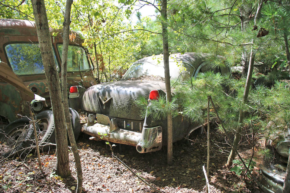 <p>The three chrome mouldings either side of the license plate identify this as a 1955 Cadillac Series 62. It’s located in an overgrown section of the yard, where it has presumably sat for a long time. Incredibly it appears to be complete, right down to its taillights.</p><p>With <strong>140,777</strong> sales, this was a record year for Cadillac, making it the 10<sup>th</sup> best-selling automobile marque in the US.</p>