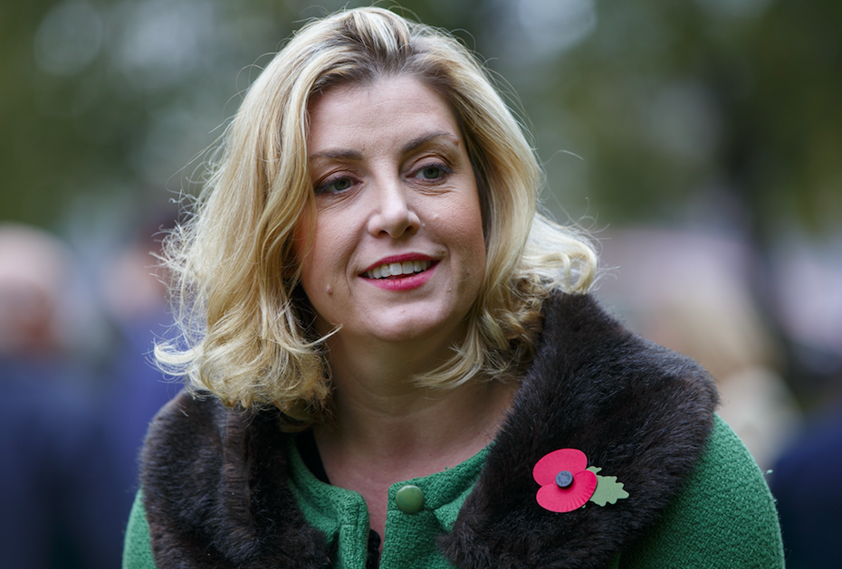 <em>Penny Mordaunt is a Brexit-backer (Rex)</em>