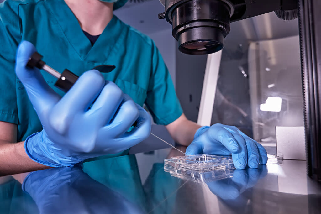 A lab tech uses equipment employed for in vitro fertilization