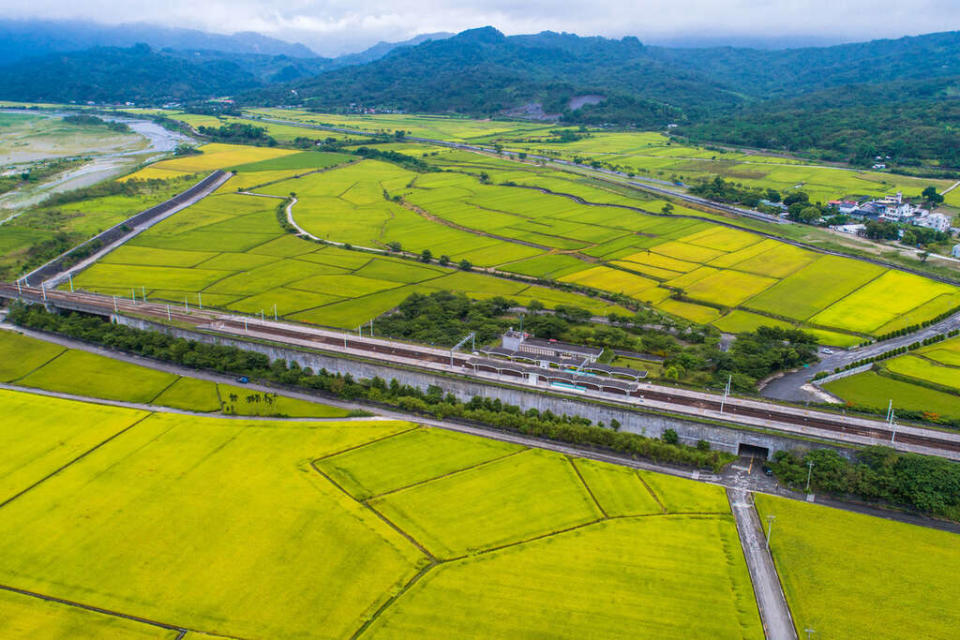 令人驚呼不已的田園景緻（圖片來源：花東縱谷國家風景區）