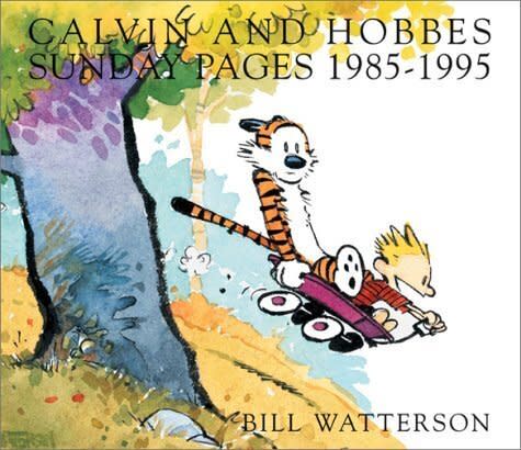 <a href="https://amzn.to/2EcgS0Q" target="_blank" rel="noopener noreferrer">Calvin and Hobbes is a comedy classic</a>. The recipient will enjoy it not only for the humor, but also because it reminds them of waiting for the Sunday comics as a kid.