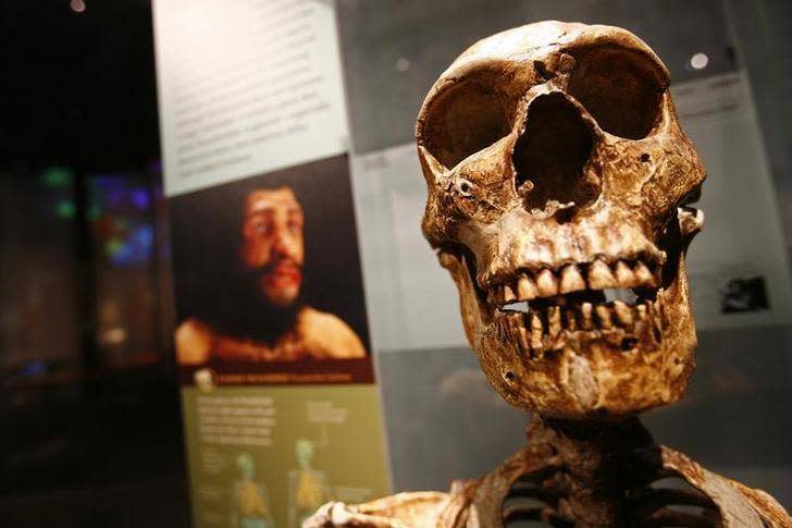 Skull found in China could re-write 'out of Africa' theory of human evolution