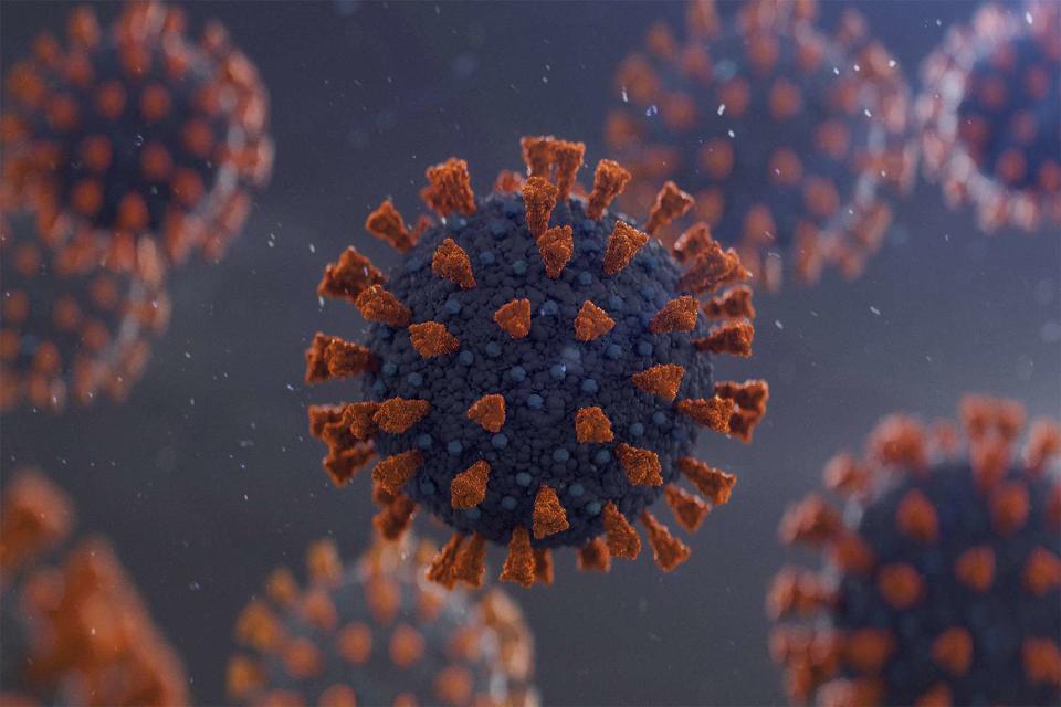 coronavirus