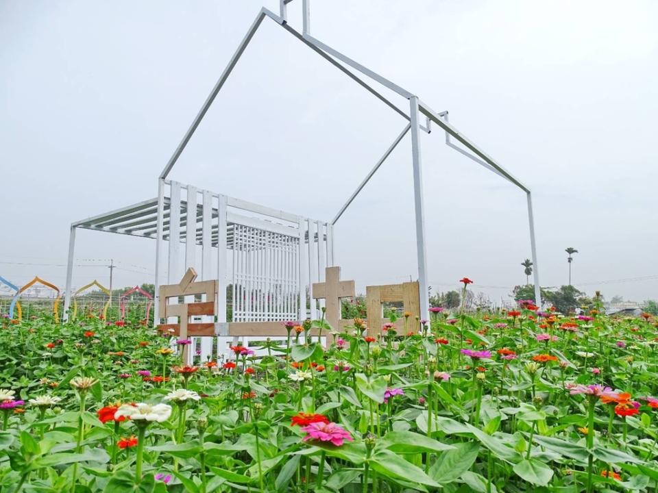 《圖說》邁入第八年的「田中窯蜀葵花藝術節」，已正式登場。