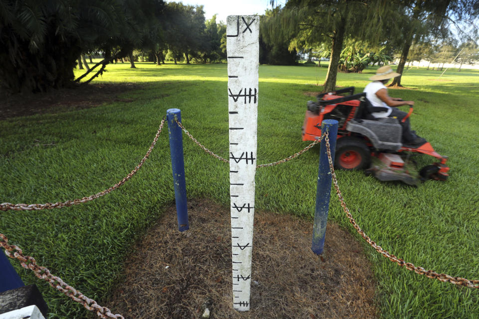 En esta imagen, tomada el 1 noviembre de 2019, un poste marca la pérdida de más de seis pies de turba en el suelo desde su instalación por parte del Centro de Investigación de los Everglades de Florida en 1924, en Belle Glade, Florida. (AP Foto/Robert F. Bukaty)