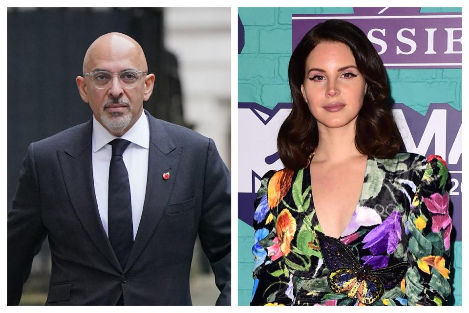 Nadhim Zahawi and Lana Del Rey (PA)