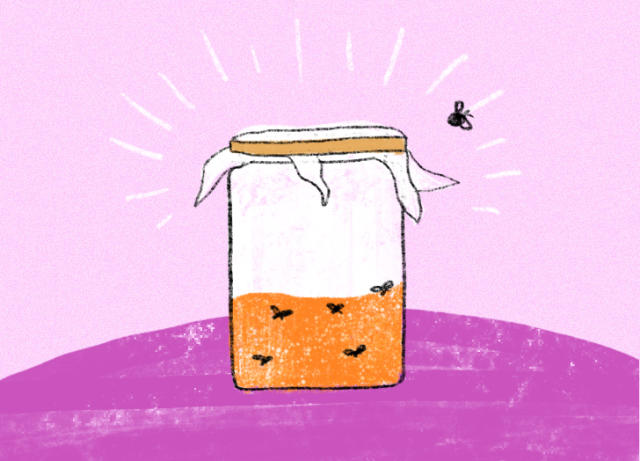 How to Really Get Rid of Pesky Fruit Flies