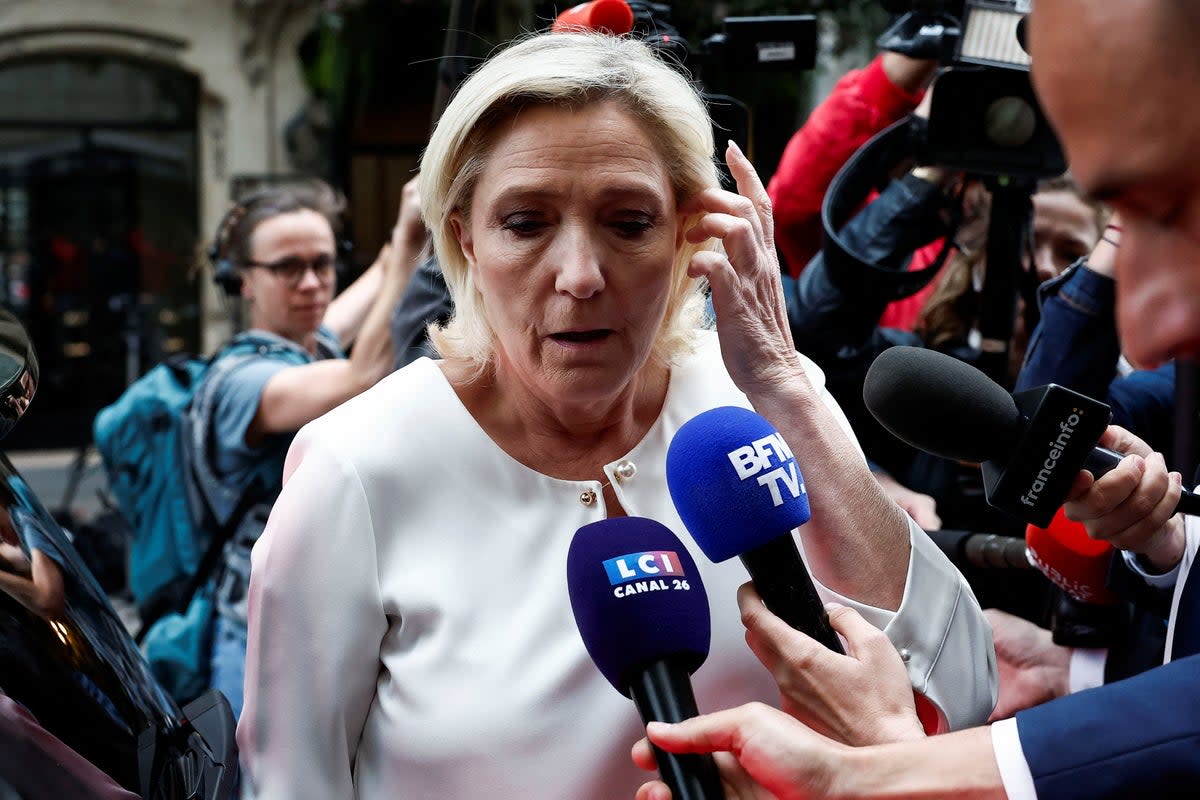 Marine Le Pen is a member of parliament and far-right National Rally party leader (REUTERS)
