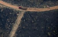 Pictures of the Year: Fires in the Amazon: a barrier to climate change up in smoke