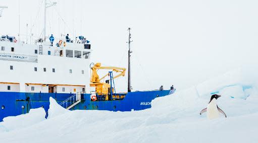 Image taken by Andrew Peacock on December 28, 2013 shows an Adelie Penguin next to the stranded ship MV Akademik Shokalskiy off Antarctica