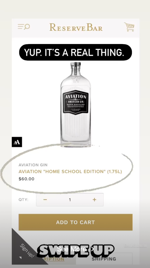 Ryan Reynolds introduces new Aviation Gin Home School EditionRyan Reynolds Instagram