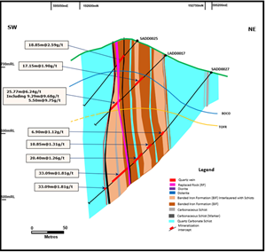 Geological Cross Section C-D Highlighting Improved Grades of LADD0017 Infill Hole