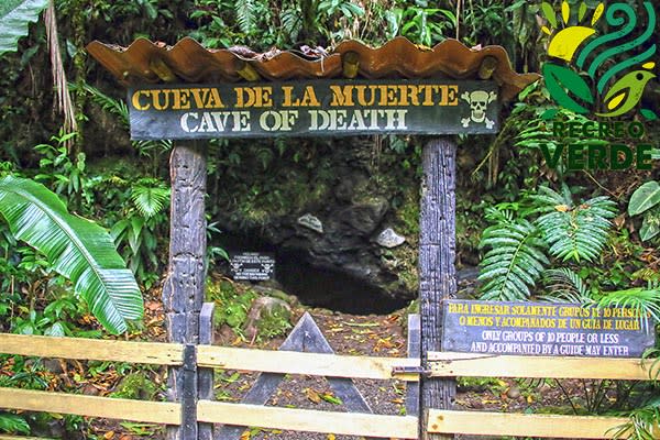 In Costa Rica, there is a cave void of oxygen that kills almost all that enters. Recreo Verde
