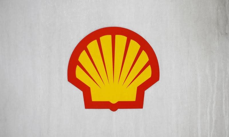 The Shell logo is seen on a pump at a Shell petrol station in London January 30, 2014. REUTERS/Suzanne Plunkett