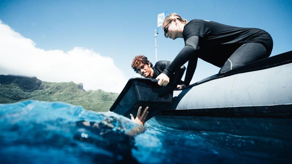 Coral Gardeners