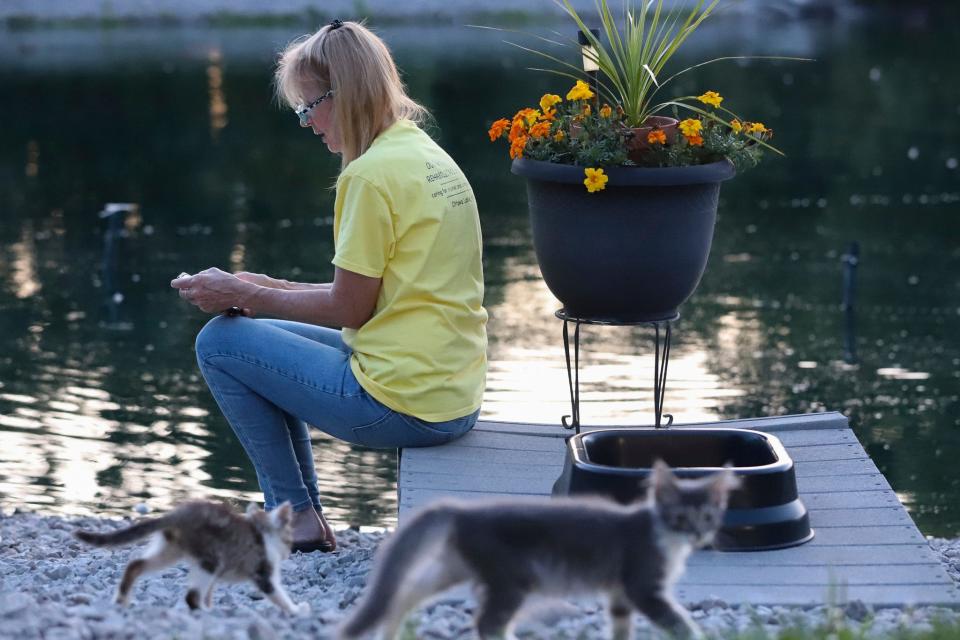 Keirstie Carducci, 65, of Ottawa Lake, takes a moment to respond to messages by her pond after finishing most of her rehab duties in the evening in Ottawa Lake on Friday, July 28, 2023.