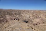 Scientists discover remains of fearsome marine predator at Atacama desert