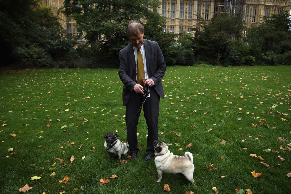 LONDON, ENGLAND - OCTOBER 10:  David Amess MP poses for photographers with his dogs Lily and Bo as MP's and their dogs wait for the results of the Westminster Dog of The Year competition in Victoria Tower Gardens on October 10, 2013 in London, England. The annual competition was won by Alan Duncan MP with his dog Noodle who was among the dogs entered into the competition which is run by Dog's Trust and the Kennel Club.  (Photo by Dan Kitwood/Getty Images)