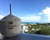 <p>The perfect refresher in Miami's 95 degree weather: a sip of coconut water straight from the source.</p>
