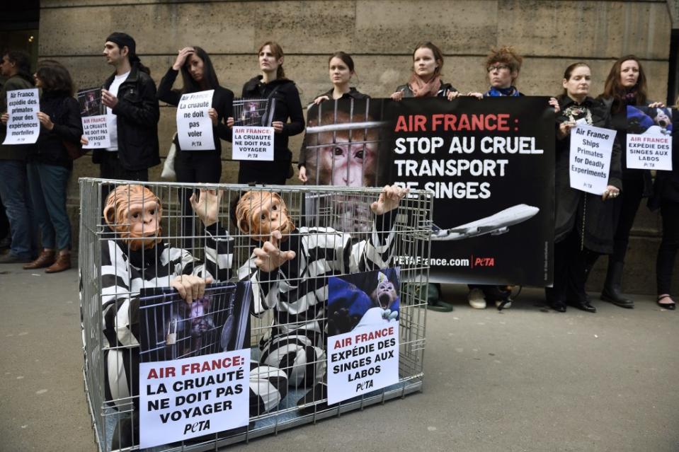 Two members of PETA (People for the Ethical Treatment of Animals) in a cage demonstrate against the French airline Air France to denounce the transport of primates to laboratories as others PETA members hold a sign reading " "Air France : stop cruel transport of monkeys", during Air France - KLM general assembly on May 21, 2015 in Paris. AFP PHOTO / ERIC FEFERBERG (Photo credit should read ERIC FEFERBERG/AFP via Getty Images)