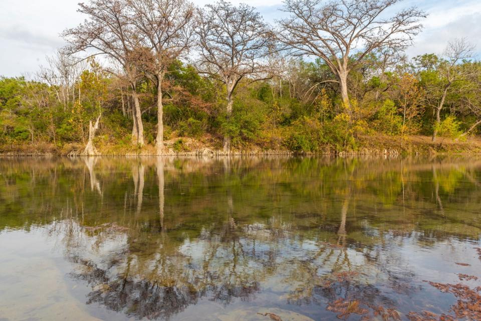 Scenic view of lake in forest against sky, New Braunfels, Texas