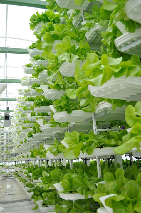 Vertical farms are a new city trend - Credit: Valcenteu