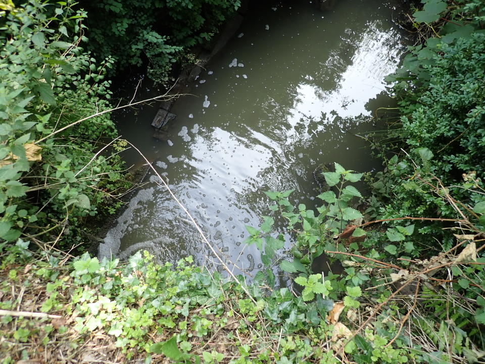 Southern Water was fined £330,000 for polluting Shawford Lake Stream in Waltham Chase, Hampshire (Environment Agency/PA)