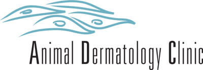Animal Dermatology Group Expands Into Florida With The Opening of Animal  Dermatology Clinic - Bradenton