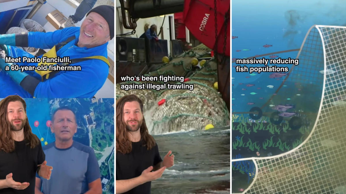 Hero fisherman builds incredible underwater sculptures to stop