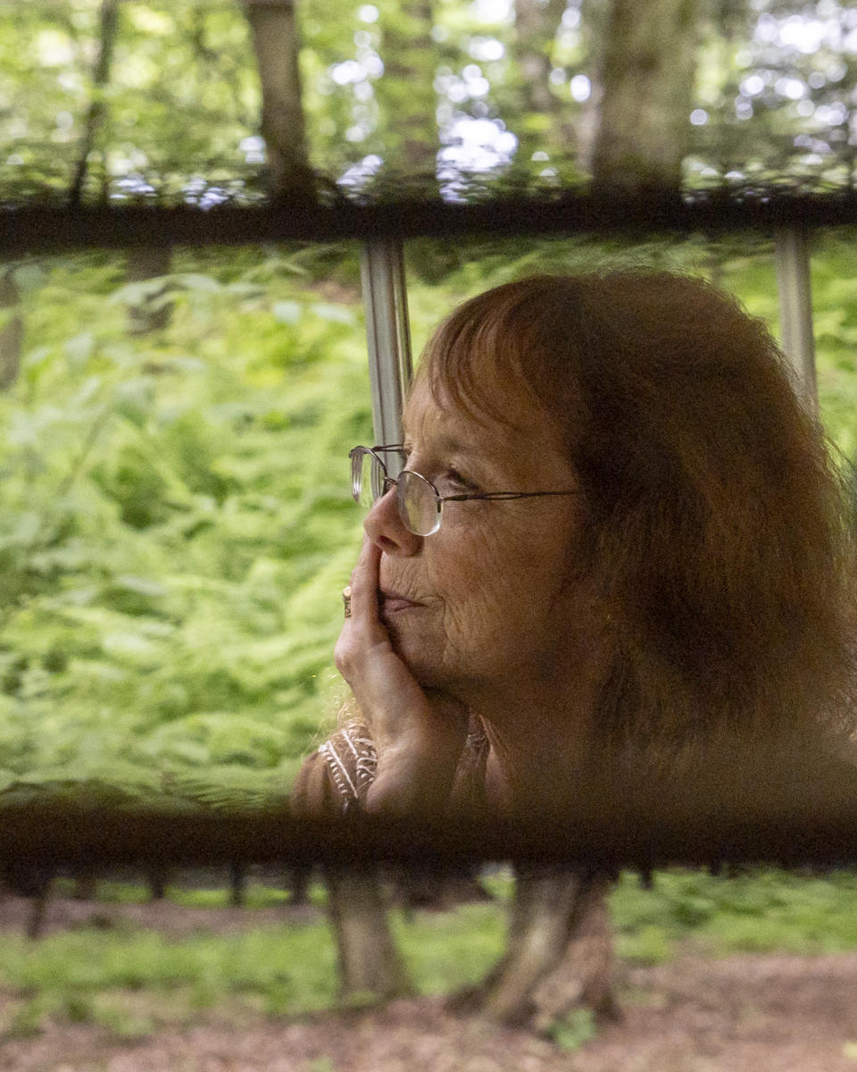 Ellen Shelburne observa el Centro para las Artes Bethel Woods, sede de la Feria de Arte y Música de Woodstock, el viernes 14 de junio de 2024, en Bethel, Nueva York. (Foto AP/Julia Nikhinson)