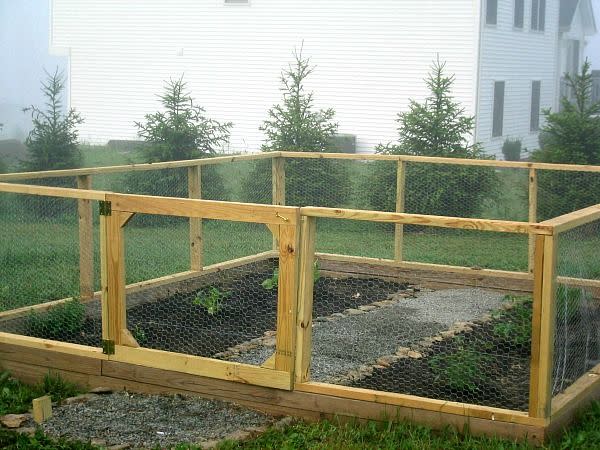 chicken wire garden best fence ideas